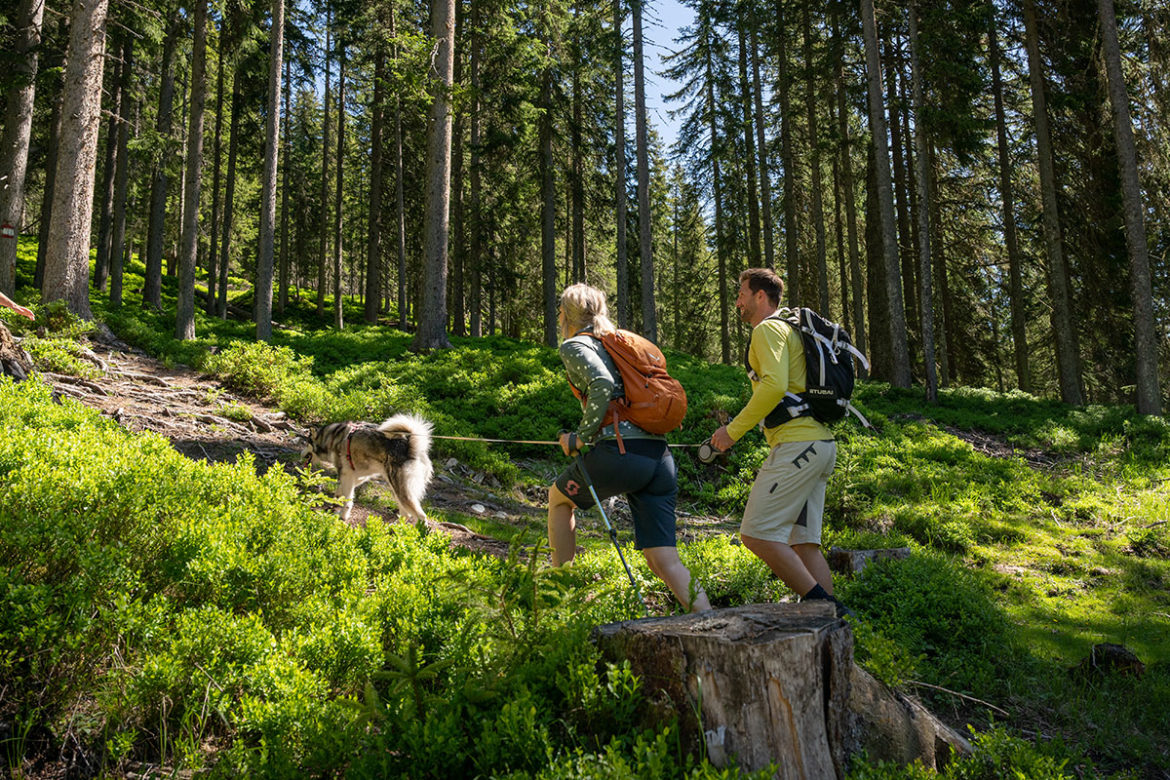 Urlaub mit Hund im Landhaus Aubauerngut in Radstadt, Salzburger Land Urlaub mit Hund im Landhaus Aubauerngut in Radstadt, Salzburger Land